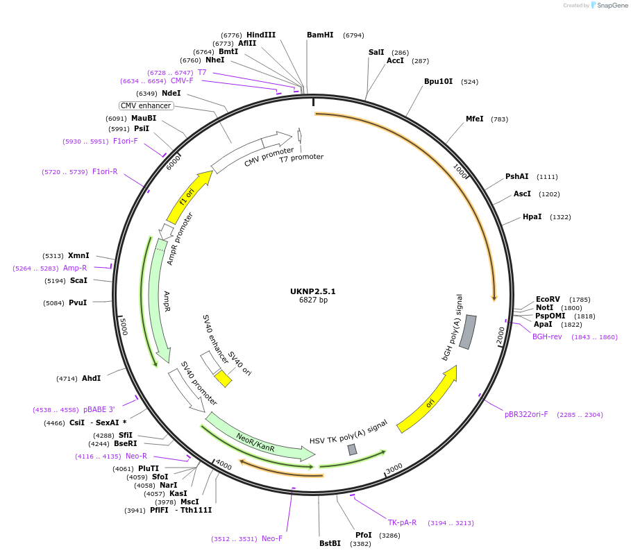 180026_map