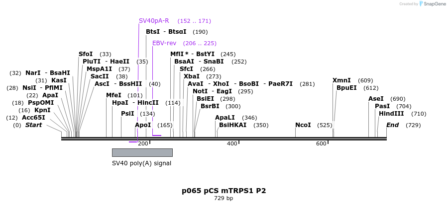 18003_map