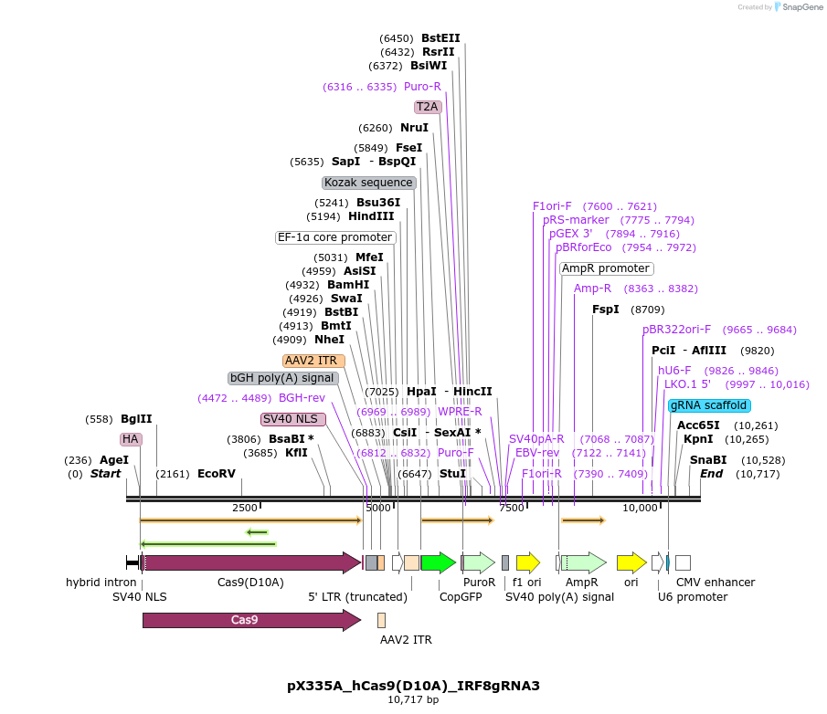 180034_map