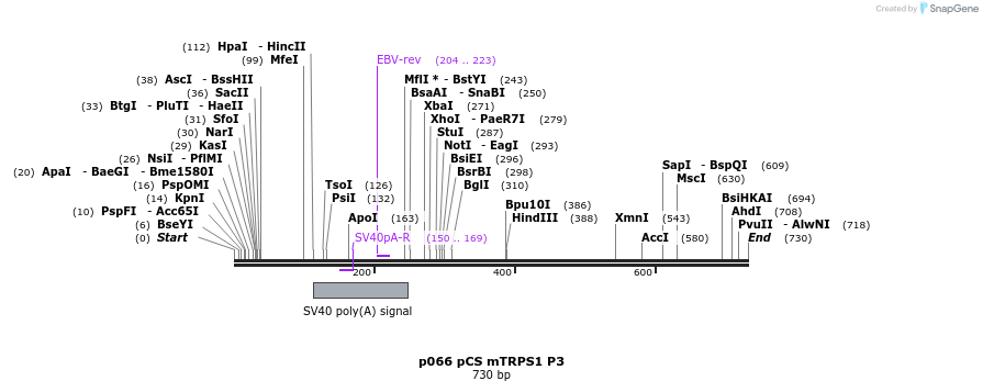 18004_map