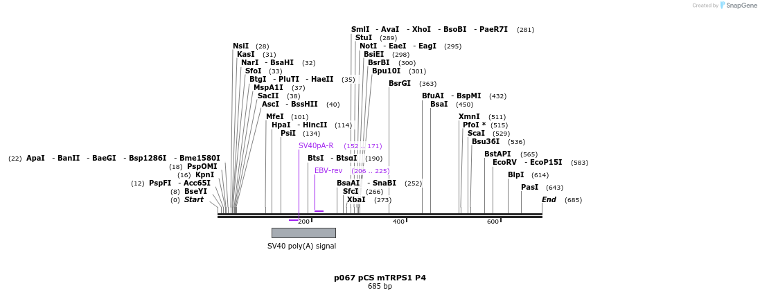 18005_map