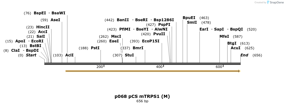 18006_map