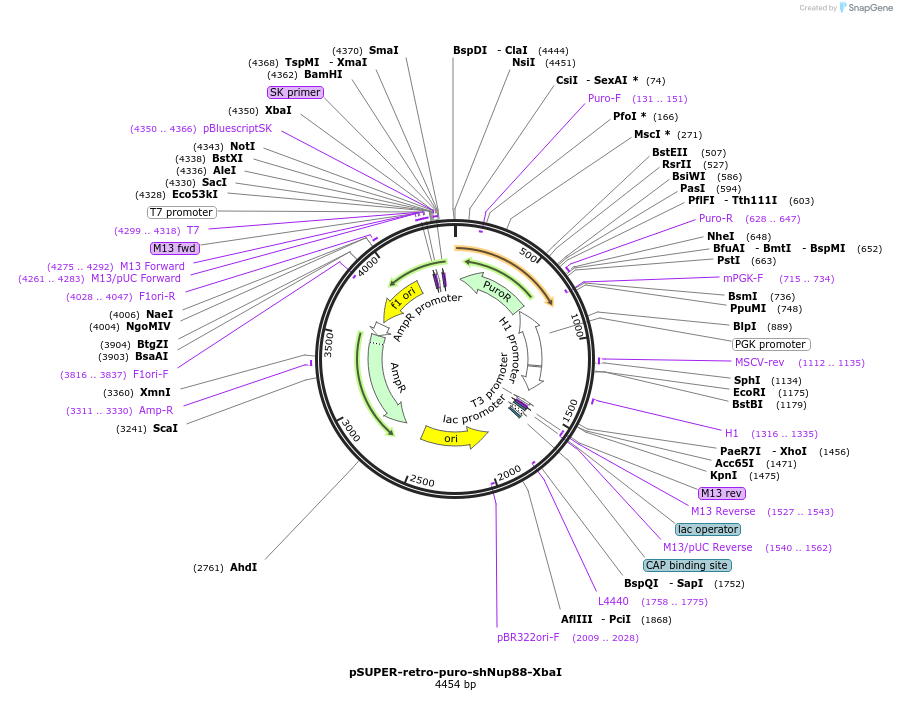 180074_map
