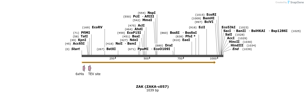 180081_map