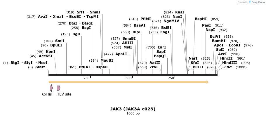 180085_map