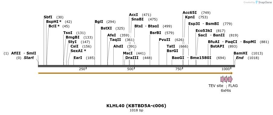 180089_map