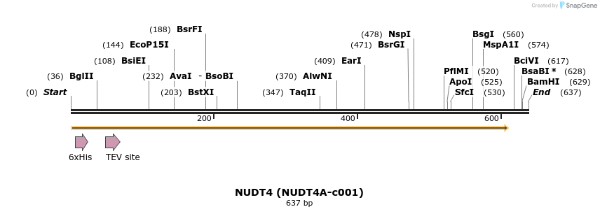180097_map