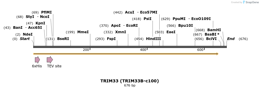180099_map