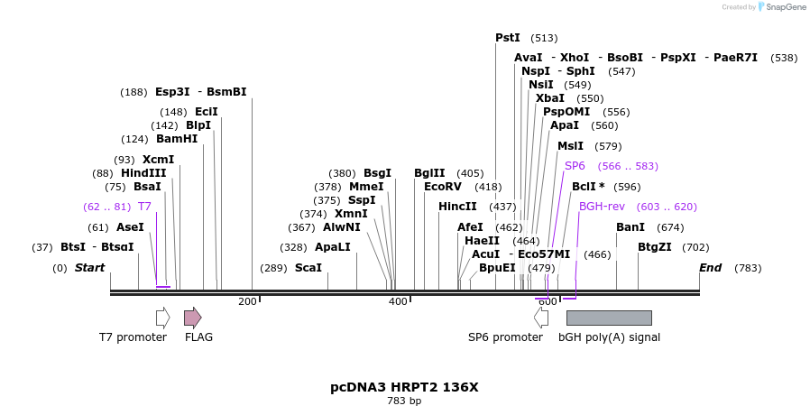 18011_map
