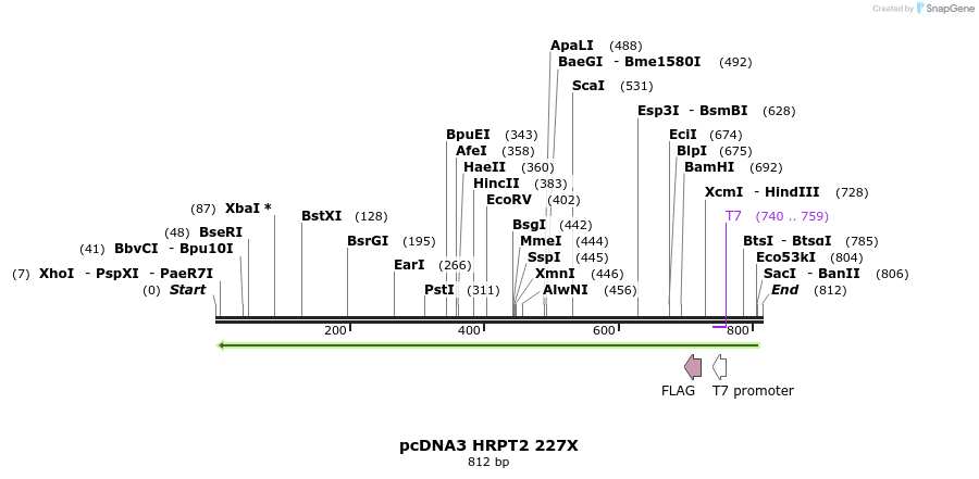 18012_map