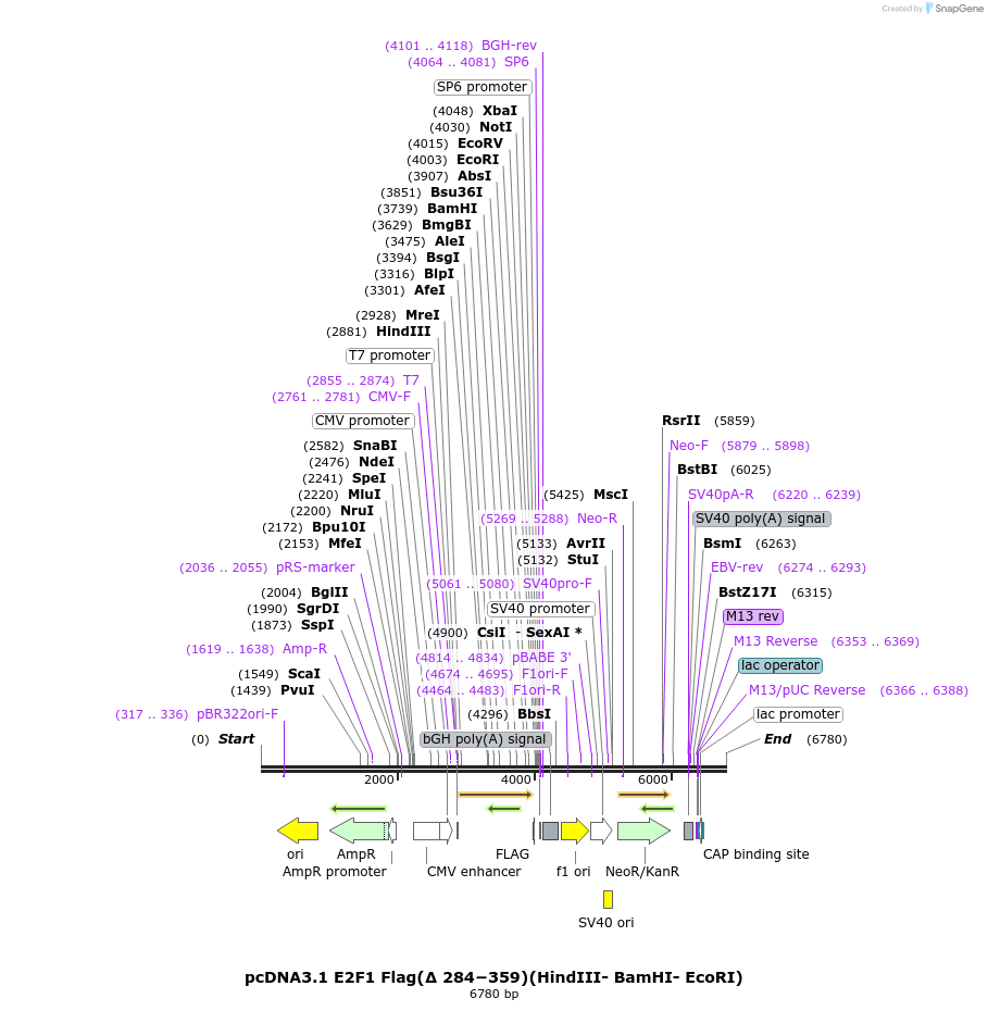 180139_map