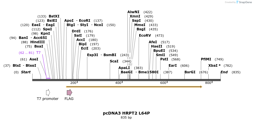 18014_map