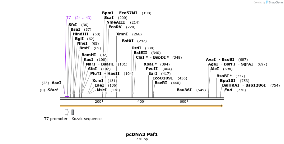 18015_map