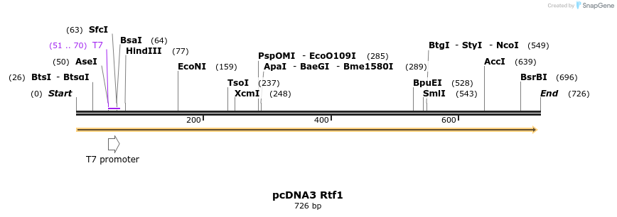 18016_map