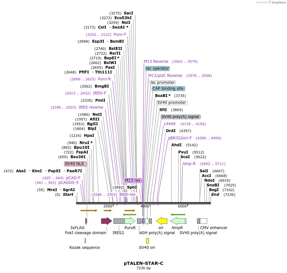 180160_map