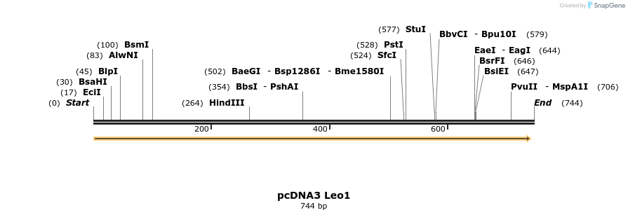 18017_map
