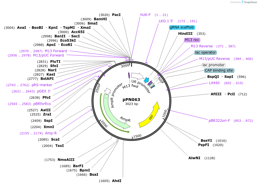 180172_map