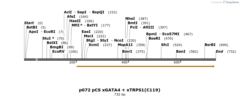 18018_map