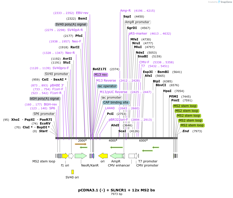 180208_map