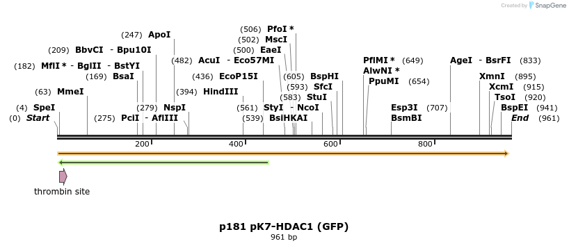 18024_map