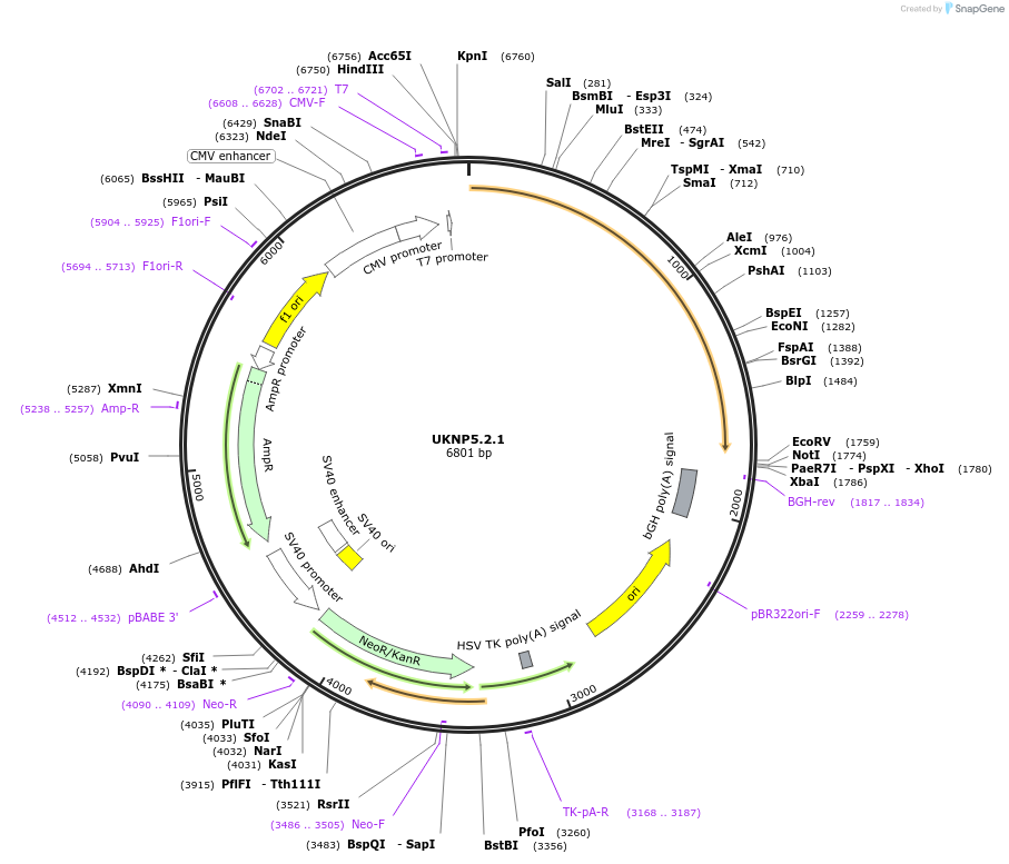 180291_map