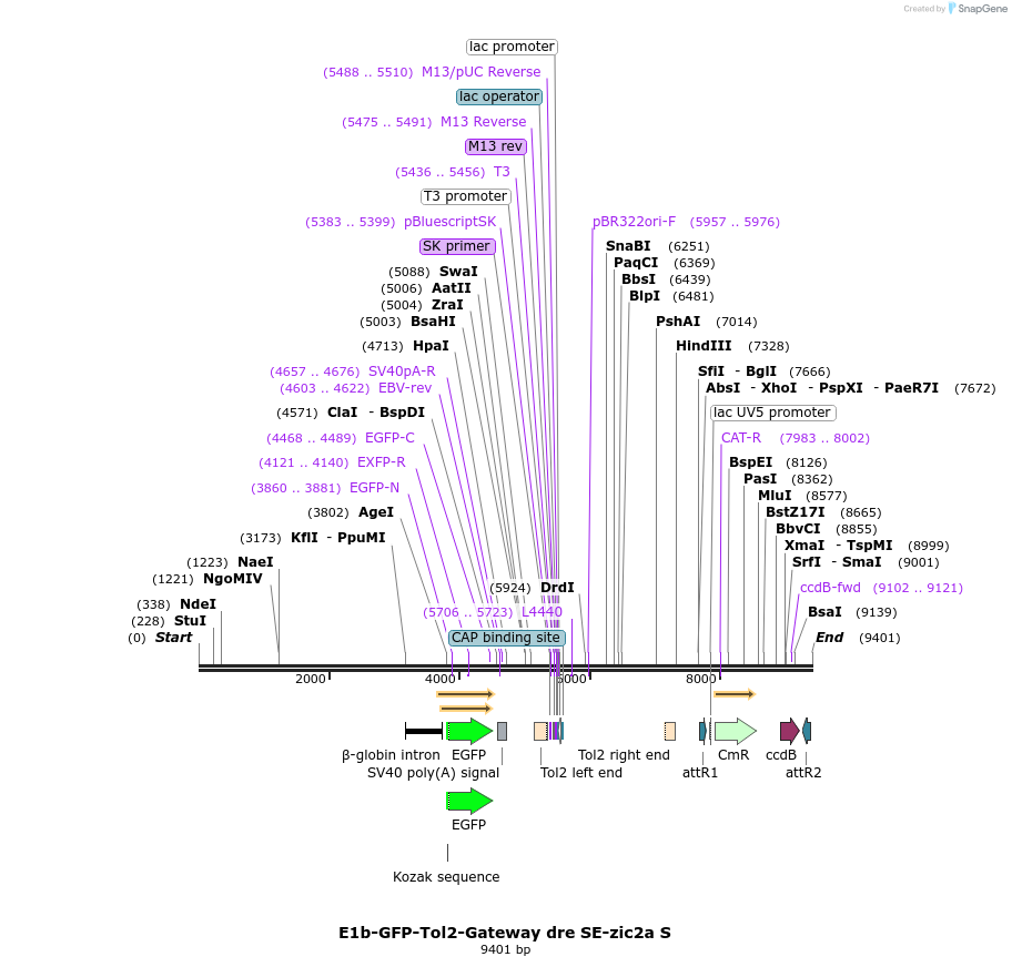 180297_map