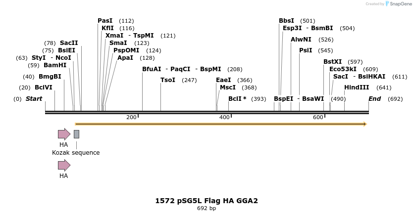18032_map