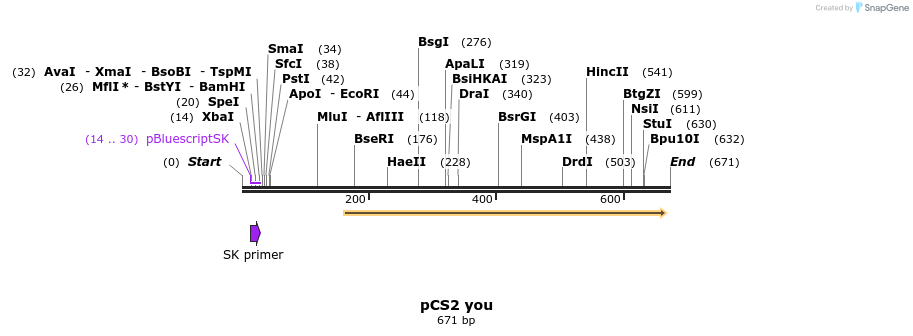 18033_map