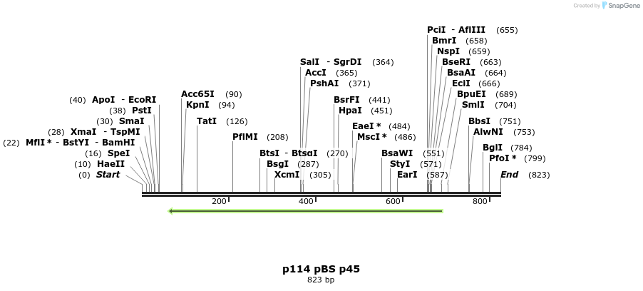 18034_map