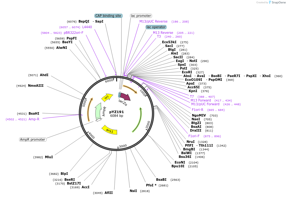 180410_map