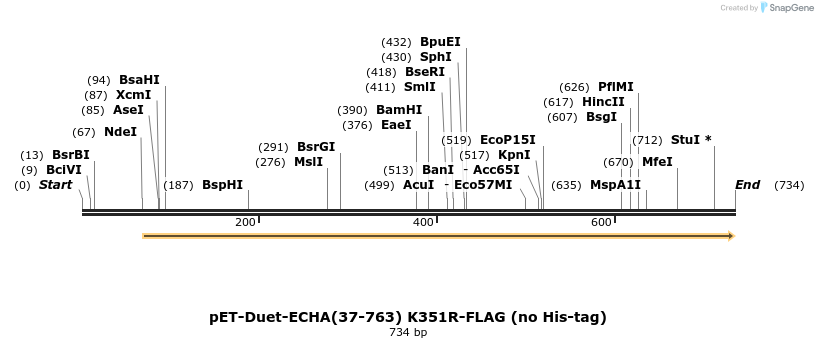 180439_map