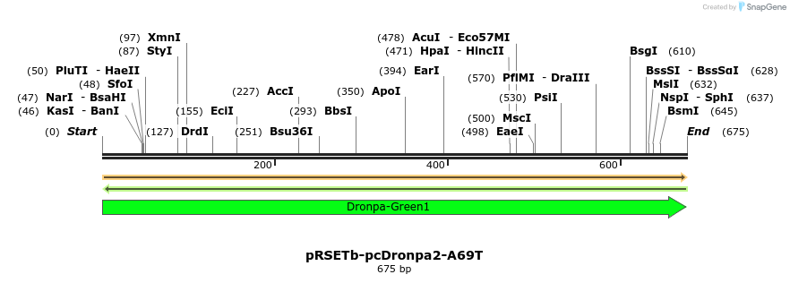 180490_map