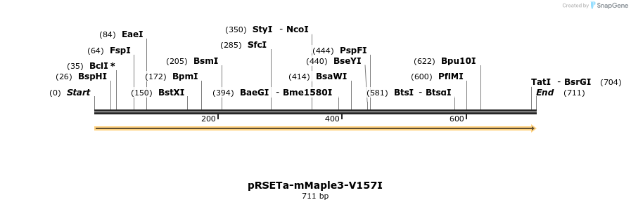 180495_map