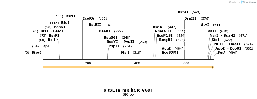 180497_map
