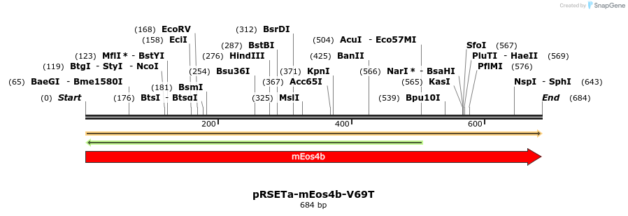 180503_map