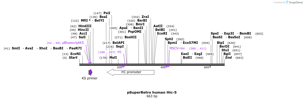 18052_map