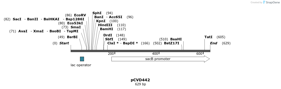 18054_map