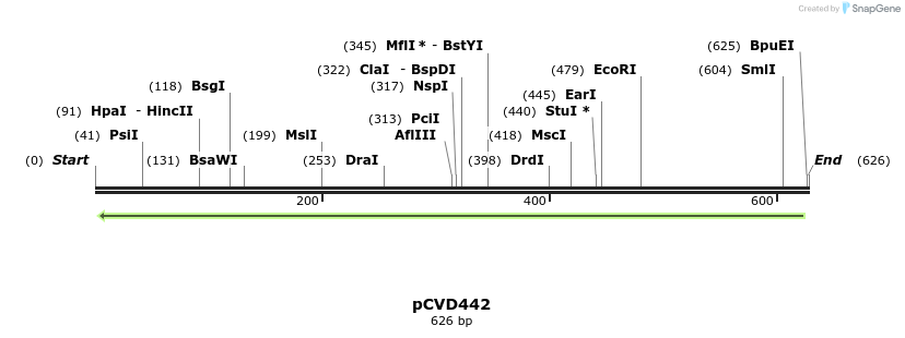 18055_map