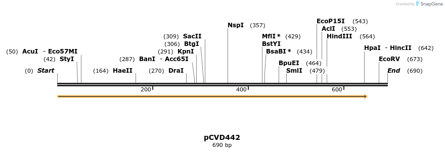 18056_map