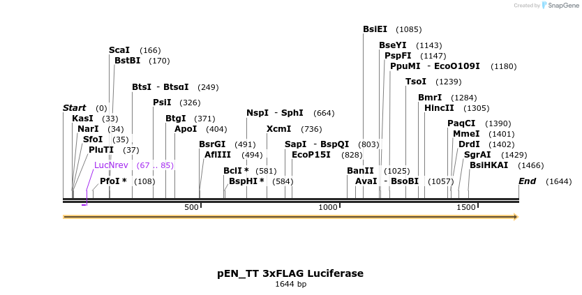180563_map