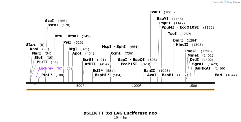 180568_map