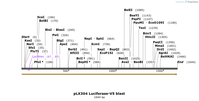180570_map