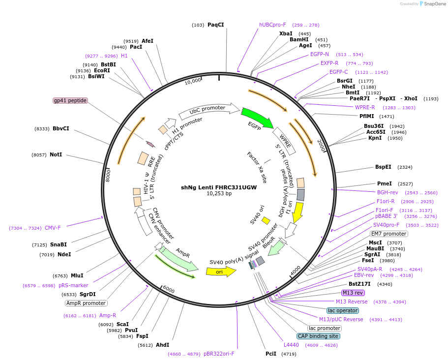 180583_map