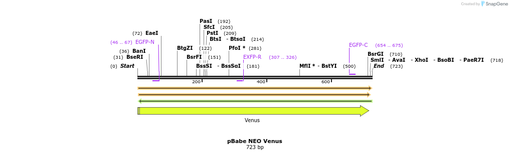 180585_map