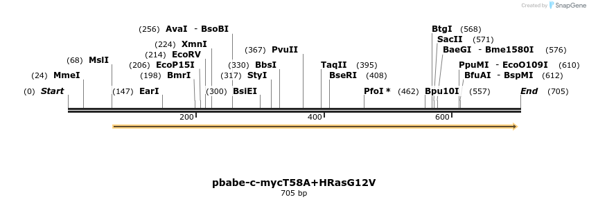 18062_map