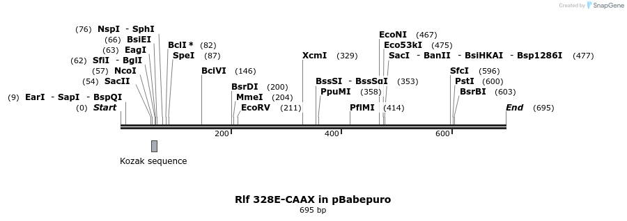 18063_map