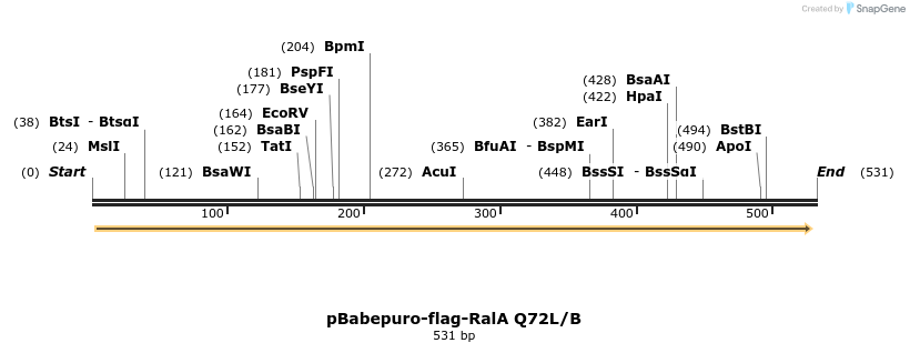 18064_map