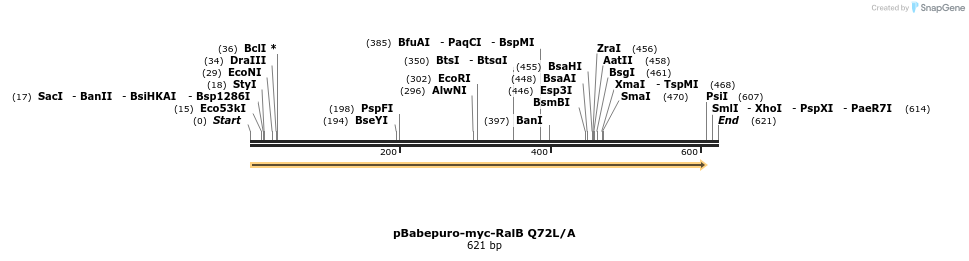 18065_map
