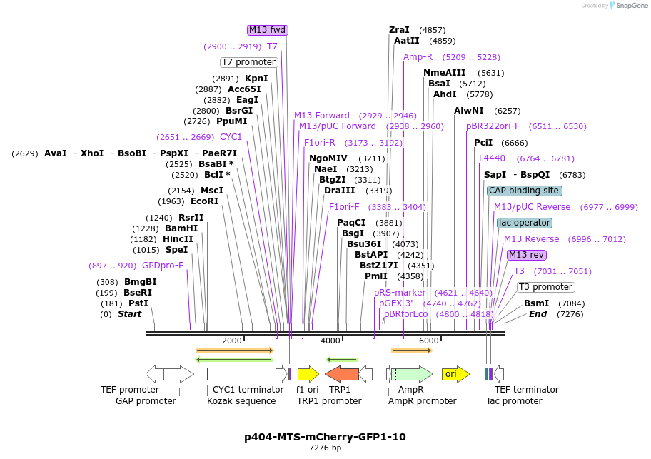 180676_map