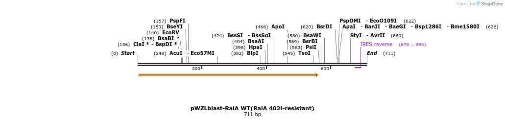 18068_map